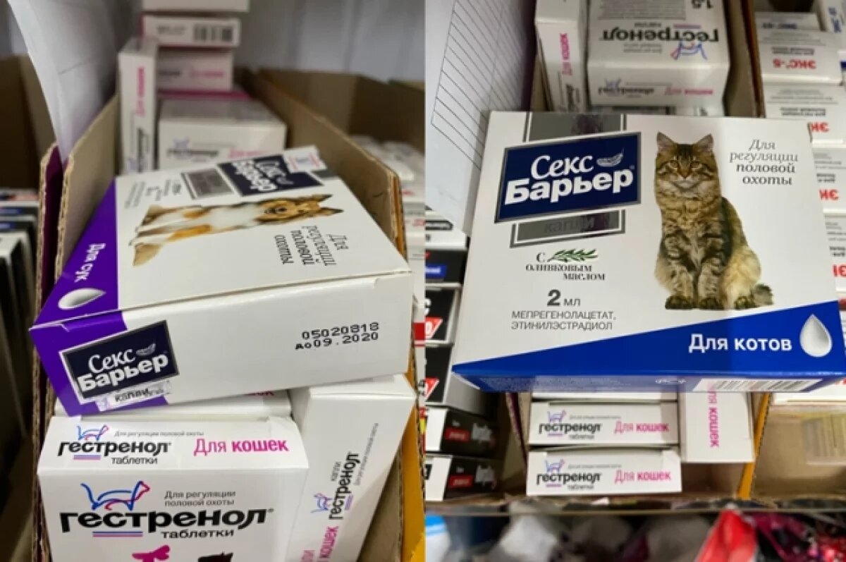    В Воронежской области выявили 205 сайтов с контрафактными ветпрепаратами