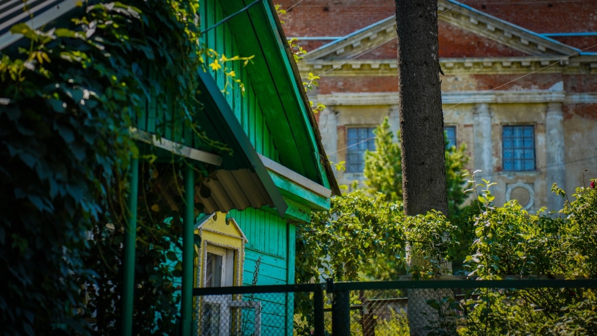 Светлана Мулыкина📷
