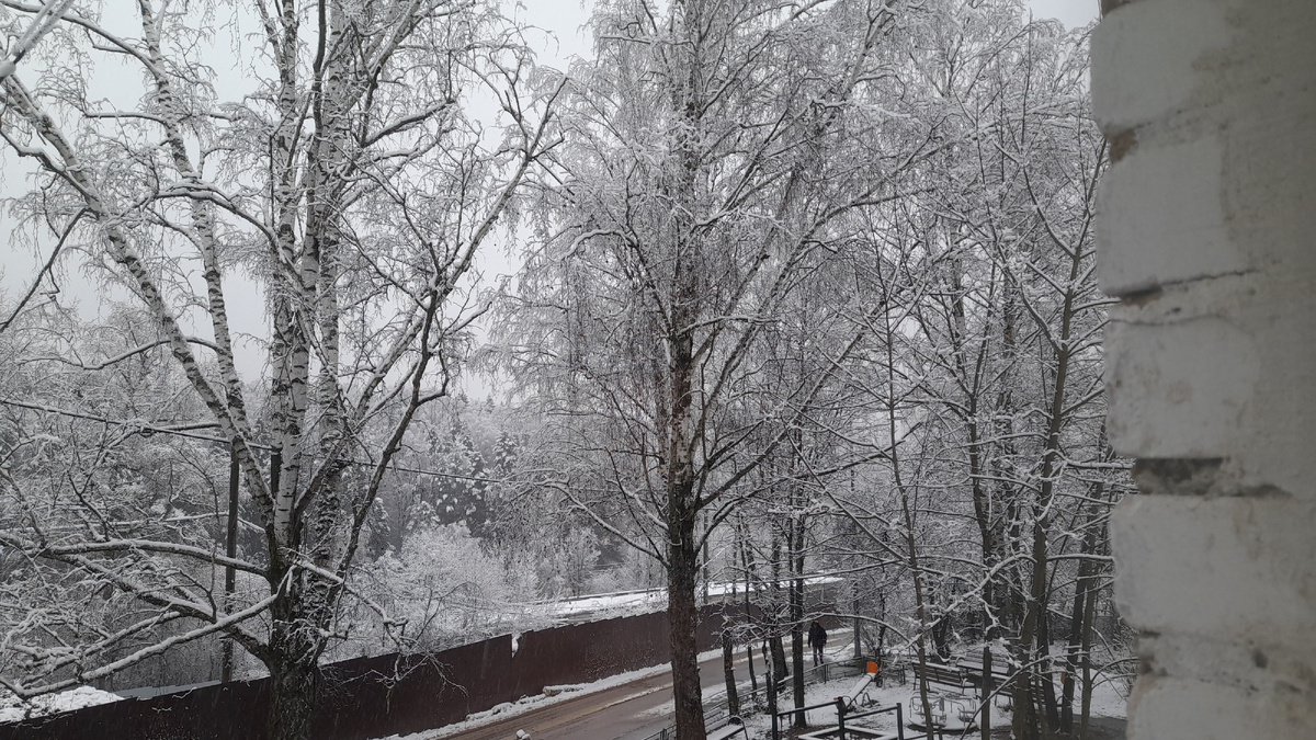 Все в снегу