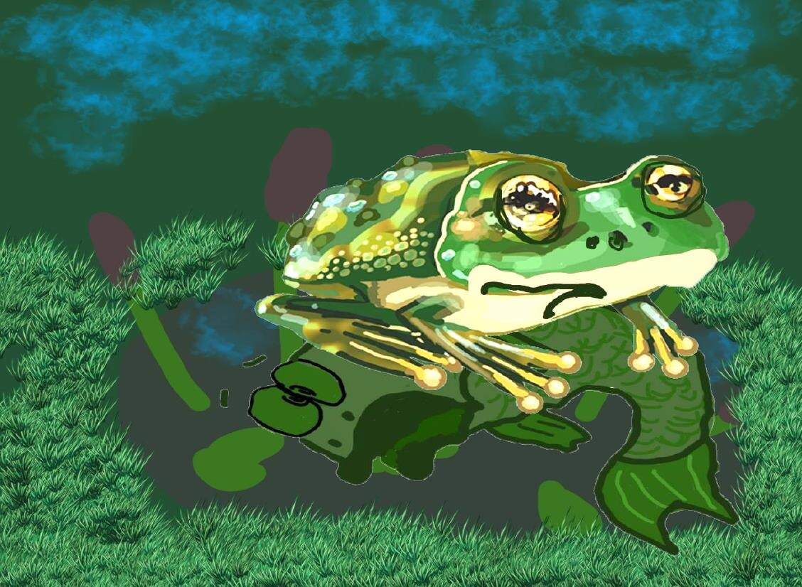 рисунок автора 