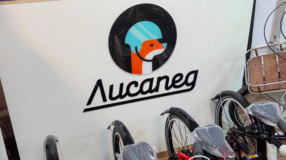 В начале лета я купил детям велосипеды российского бренда Лисапед