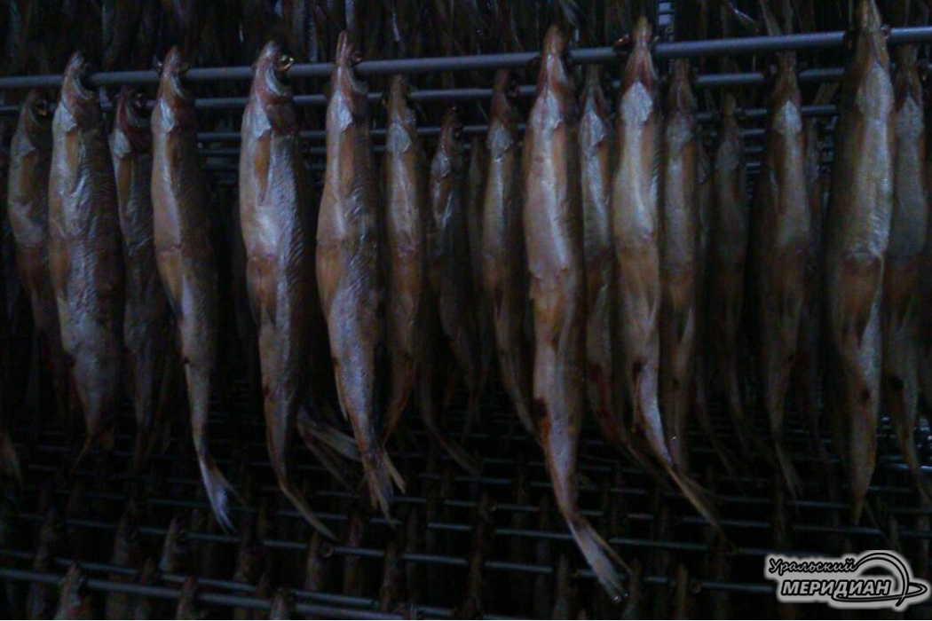    Фото: Александр Аникин © ИА «Уральский меридиан»