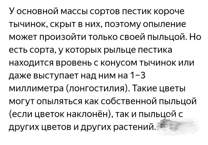 Из ср.массовой информации.