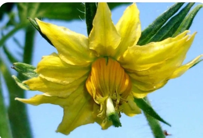 Из ср.мас.информации