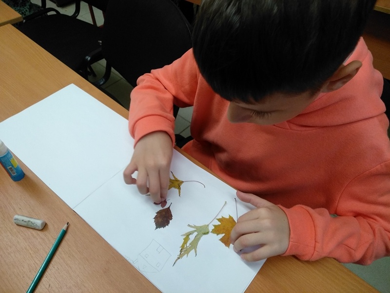 На занятиях экологического кружка