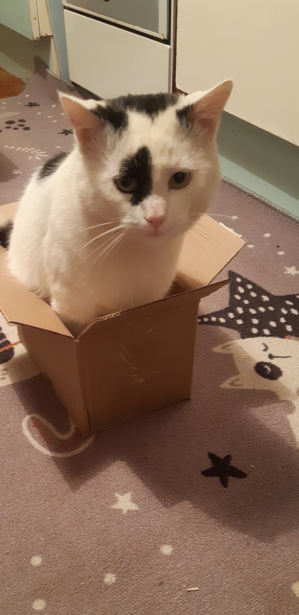 Куда все подевались? Катайте лётчика-пулемётчика.