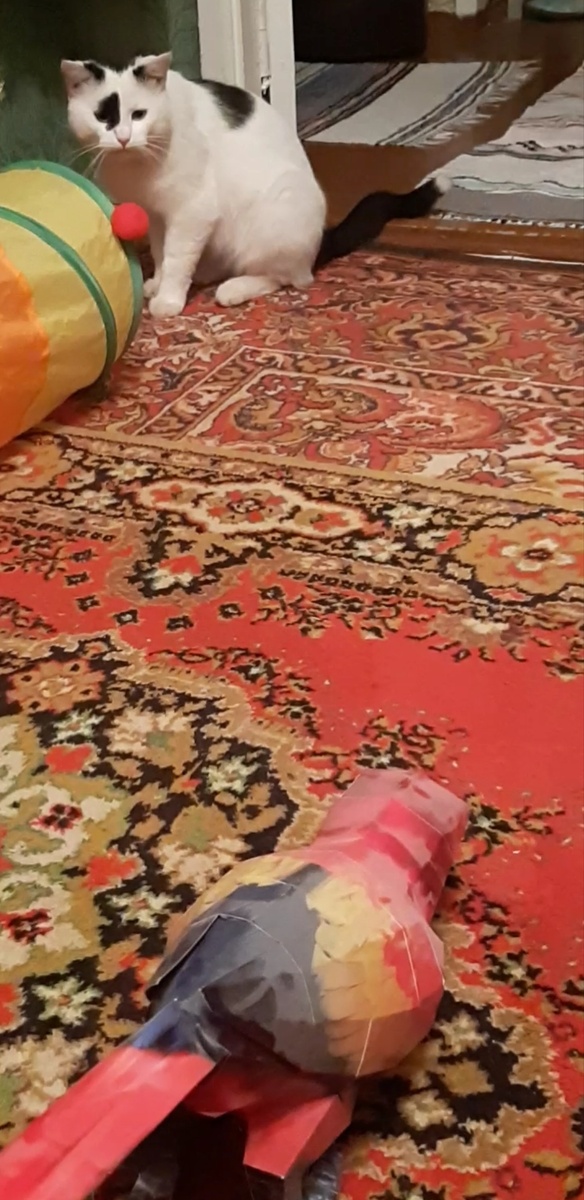 Попугай, я тебя попугаю.