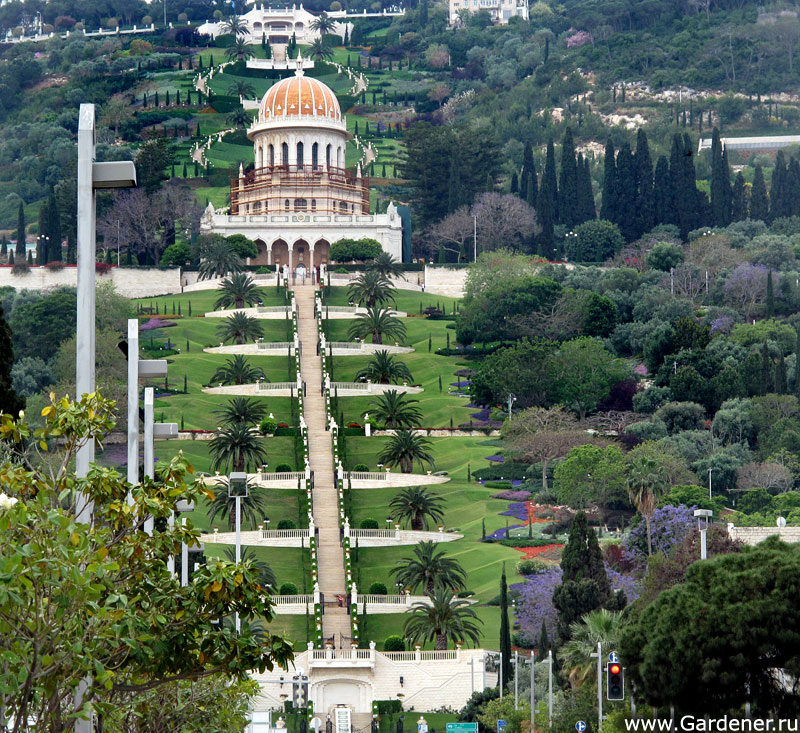 Источник gardener.ru