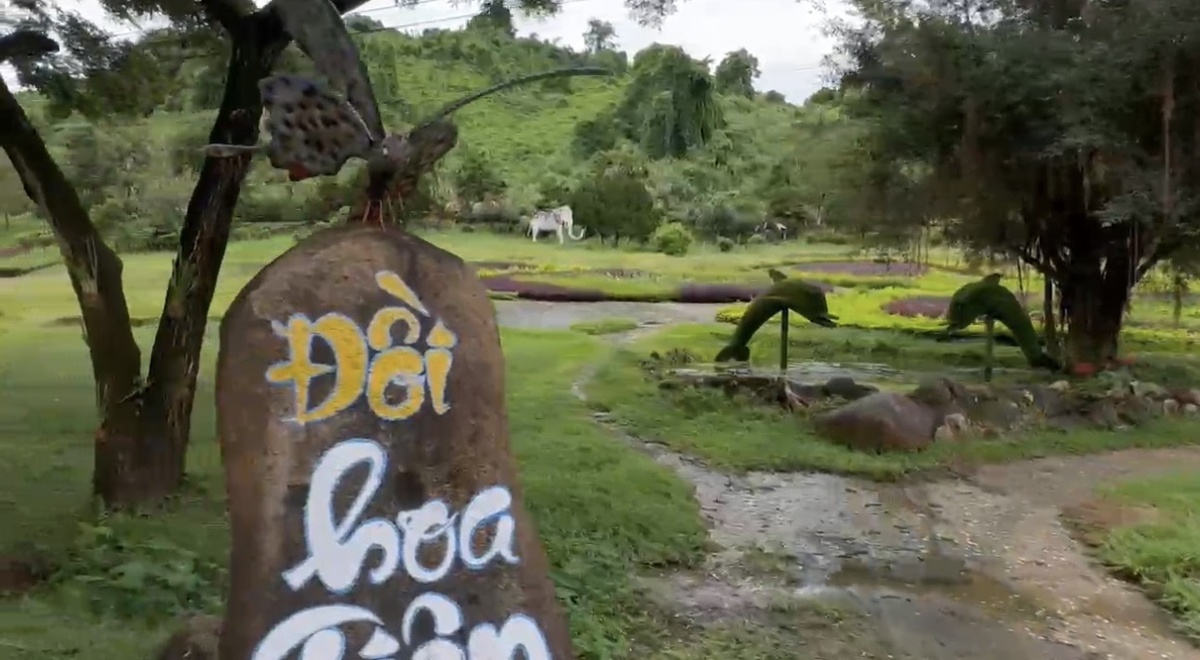 Въезд в парк Янг Бай
