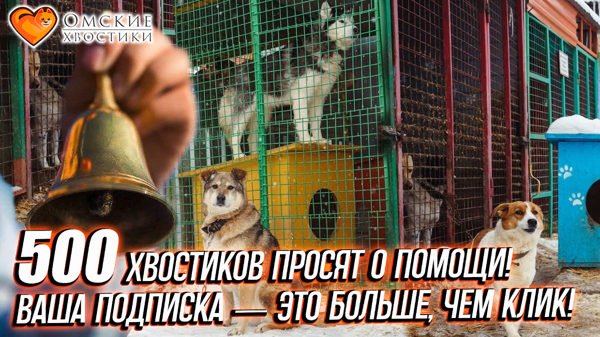 Пожалуйста, включите уведомления (тот самый «колокольчик» 🔔) в нашем сообществе!