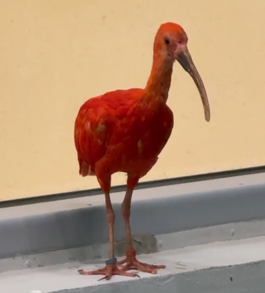    фото Пермского зоопарка