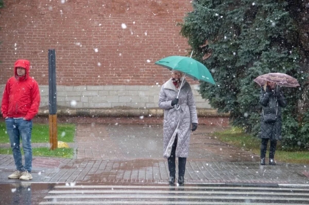    Туляков просят по возможности отложить поездки из-за погоды