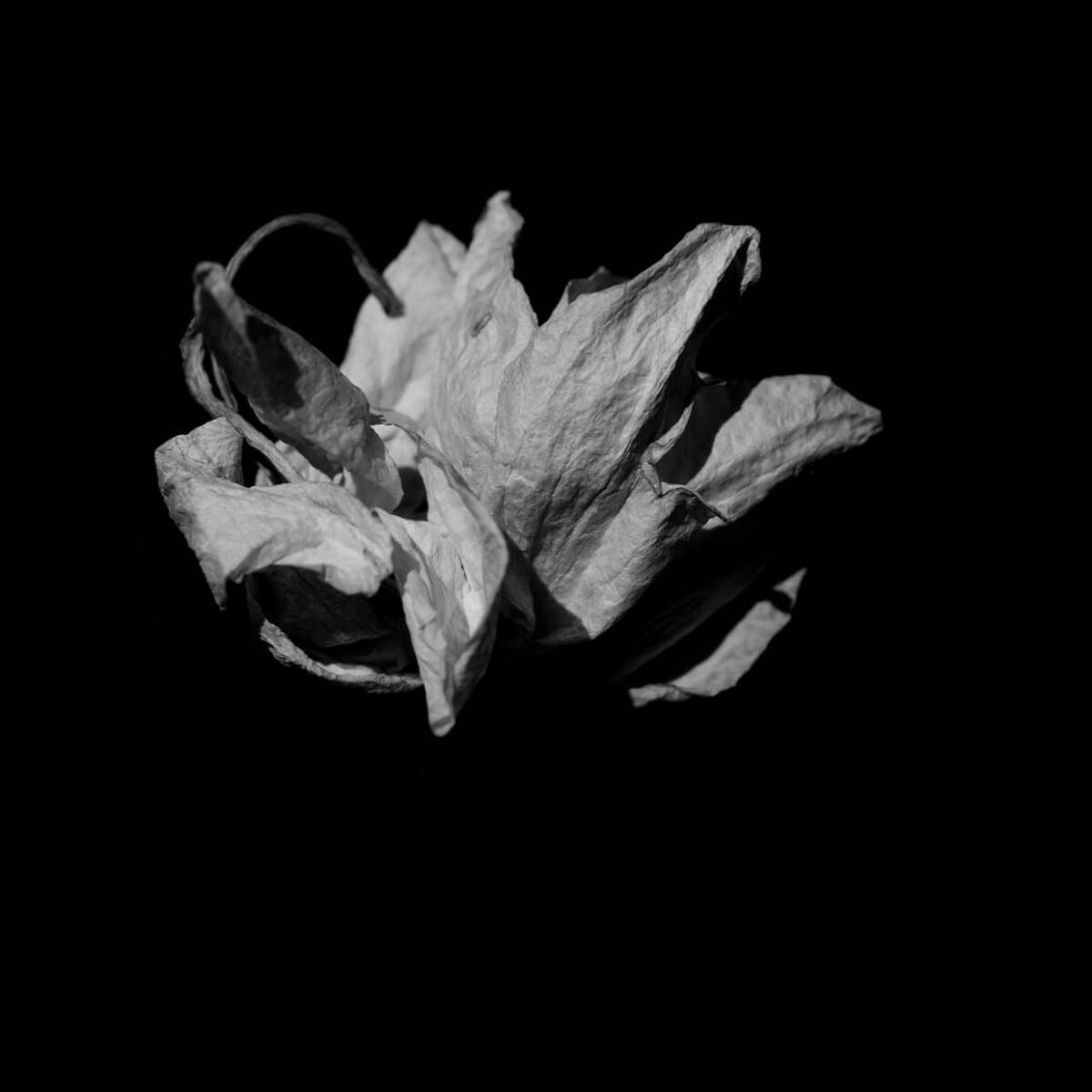 Это фотографии моего брата..