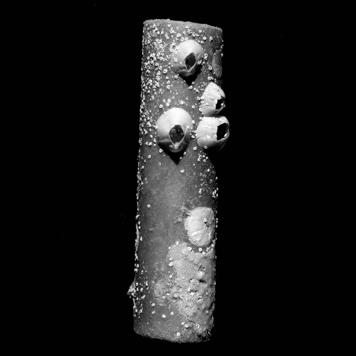 Он чудик,конечно...