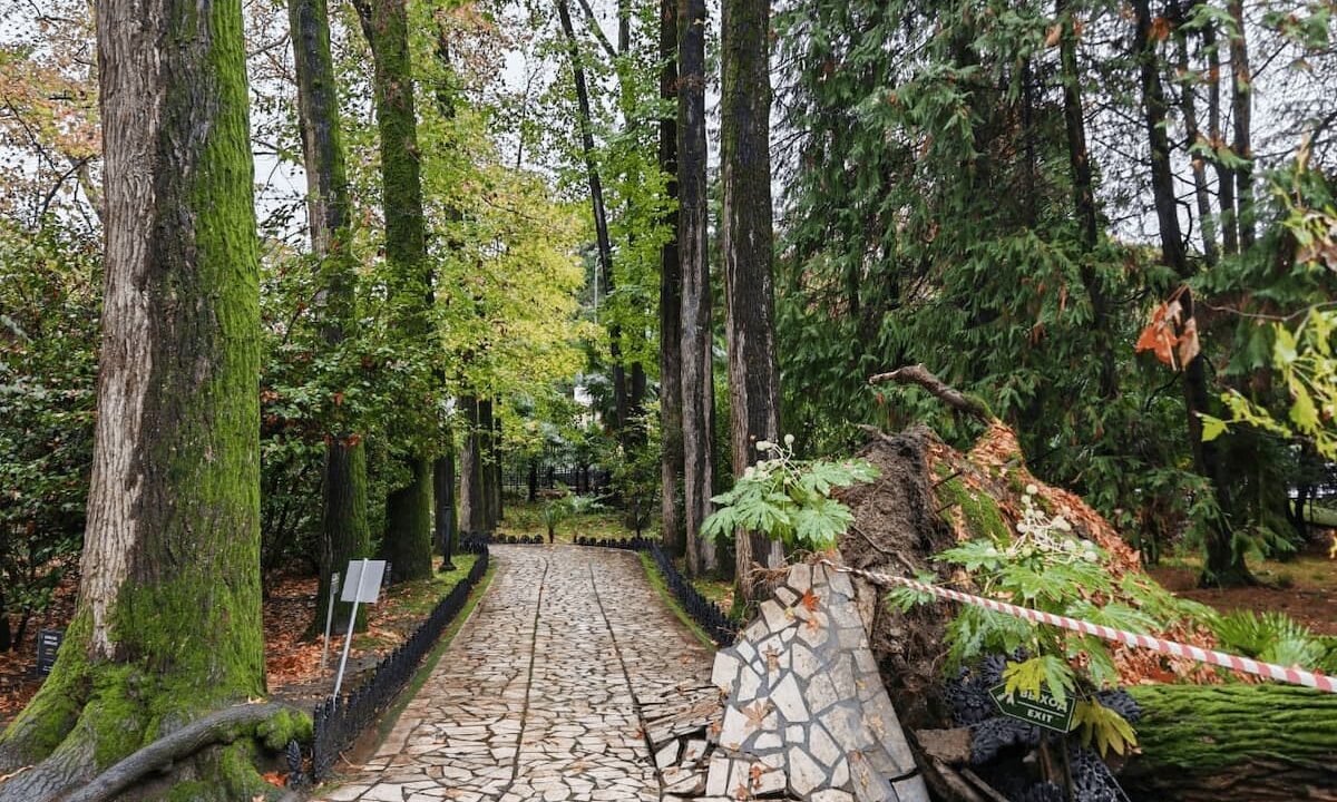    Фото Галины Солтани, пресс-служба Сочинского нацпарка