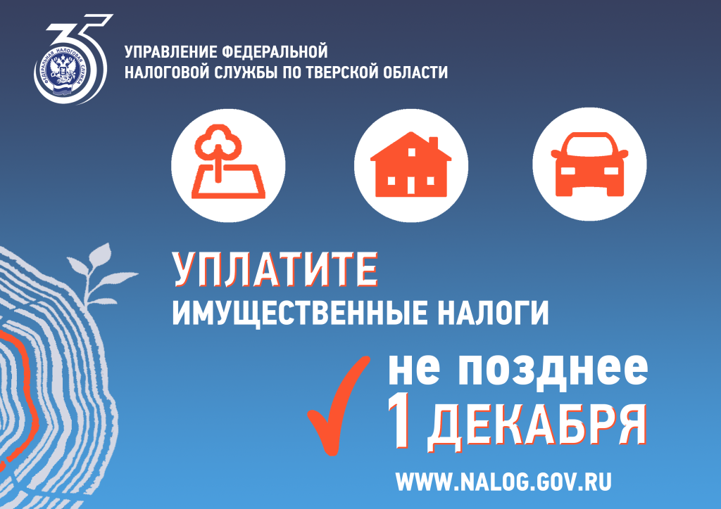 Администрация Твери напоминает о необходимости уплаты имущественных налогов