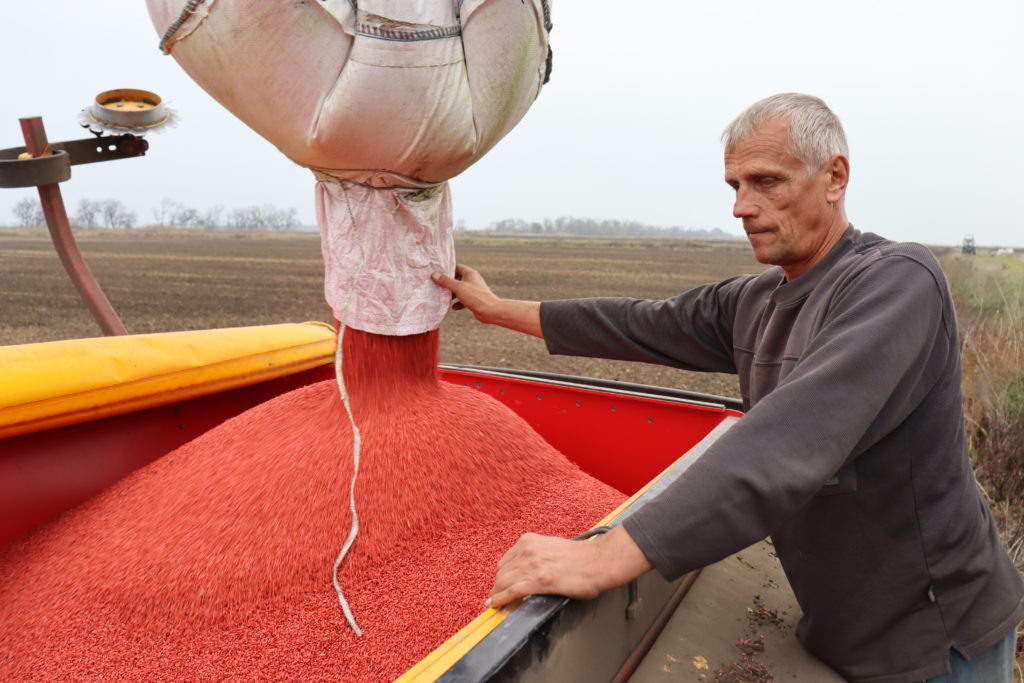    Виктор Веркин — универсальный механизатор. А на севе озимых зерновых его профессионализм и добросовестность и вовсе в цене. Здесь промашек не должно быть. Фото Сергея Базалука. Знамя Труда