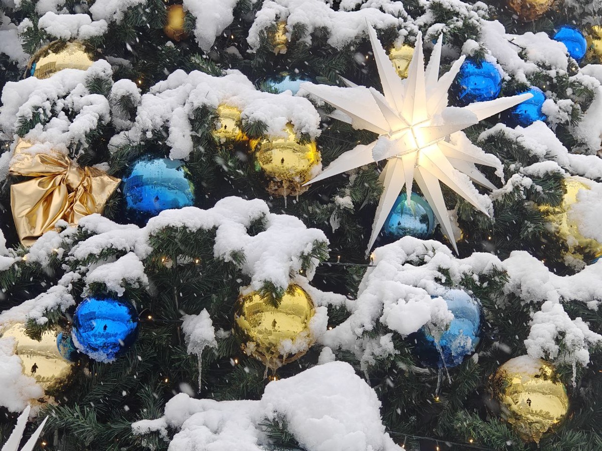    Фото: Юрий Серебренников/BFM Кубань