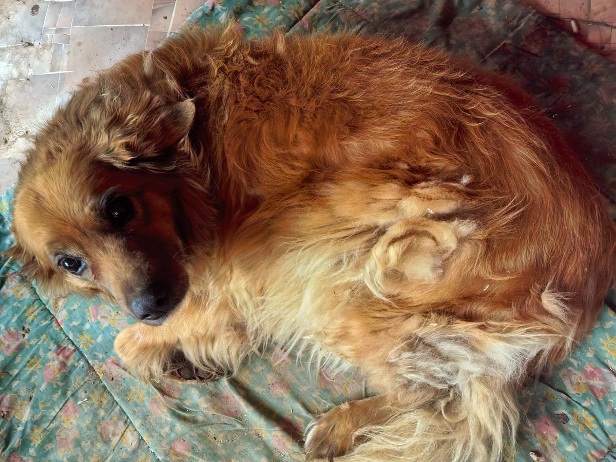 Мама, не мешай. Я сплю!