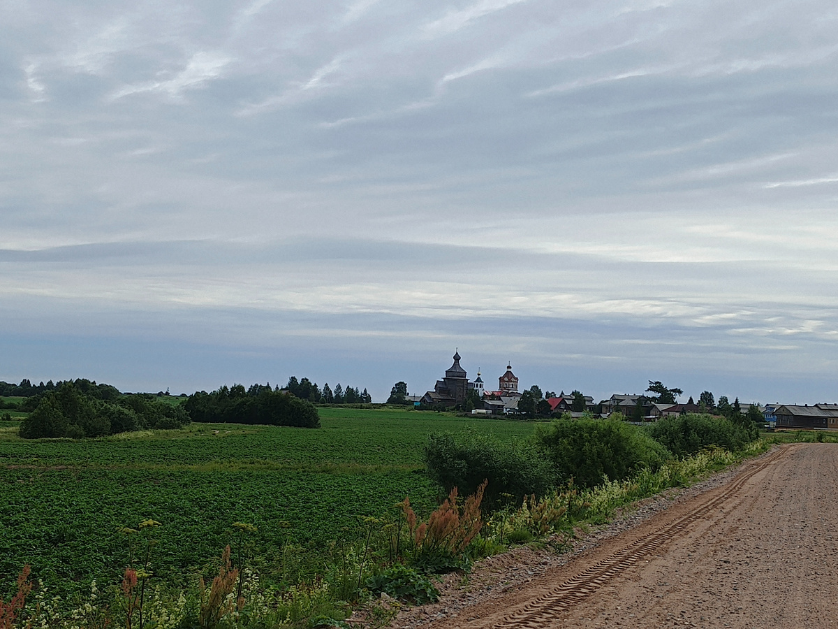 Поля вокруг д. Зачачье