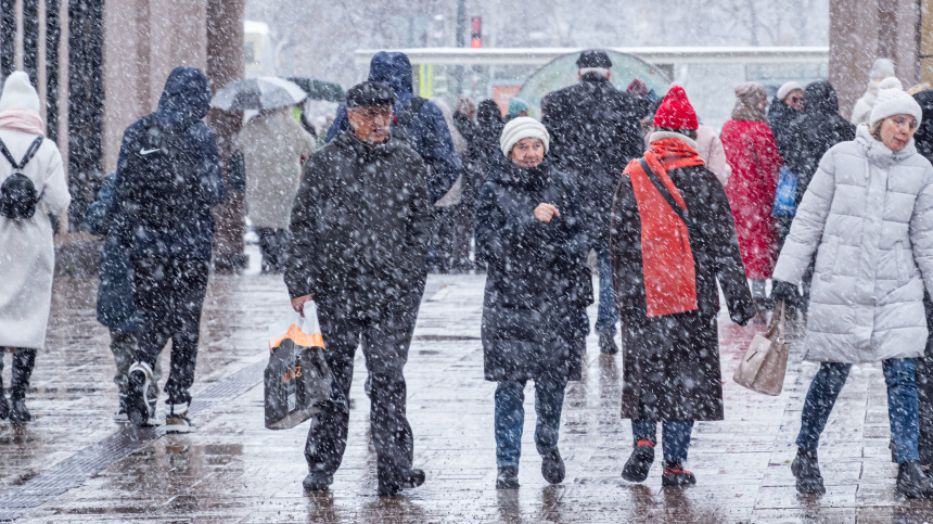    Фото: ИЗВЕСТИЯ/Константин Кокошкин