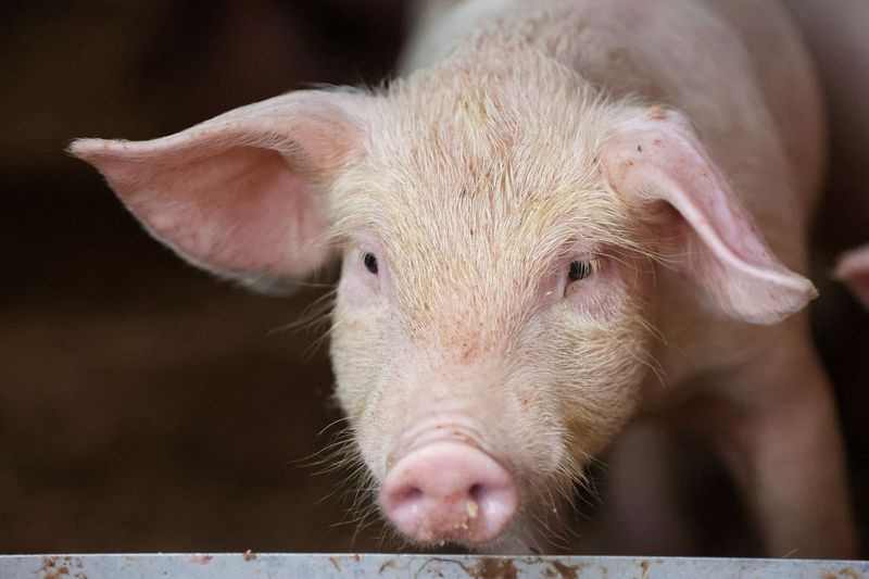    Алексей Белкин/NEWS.ru