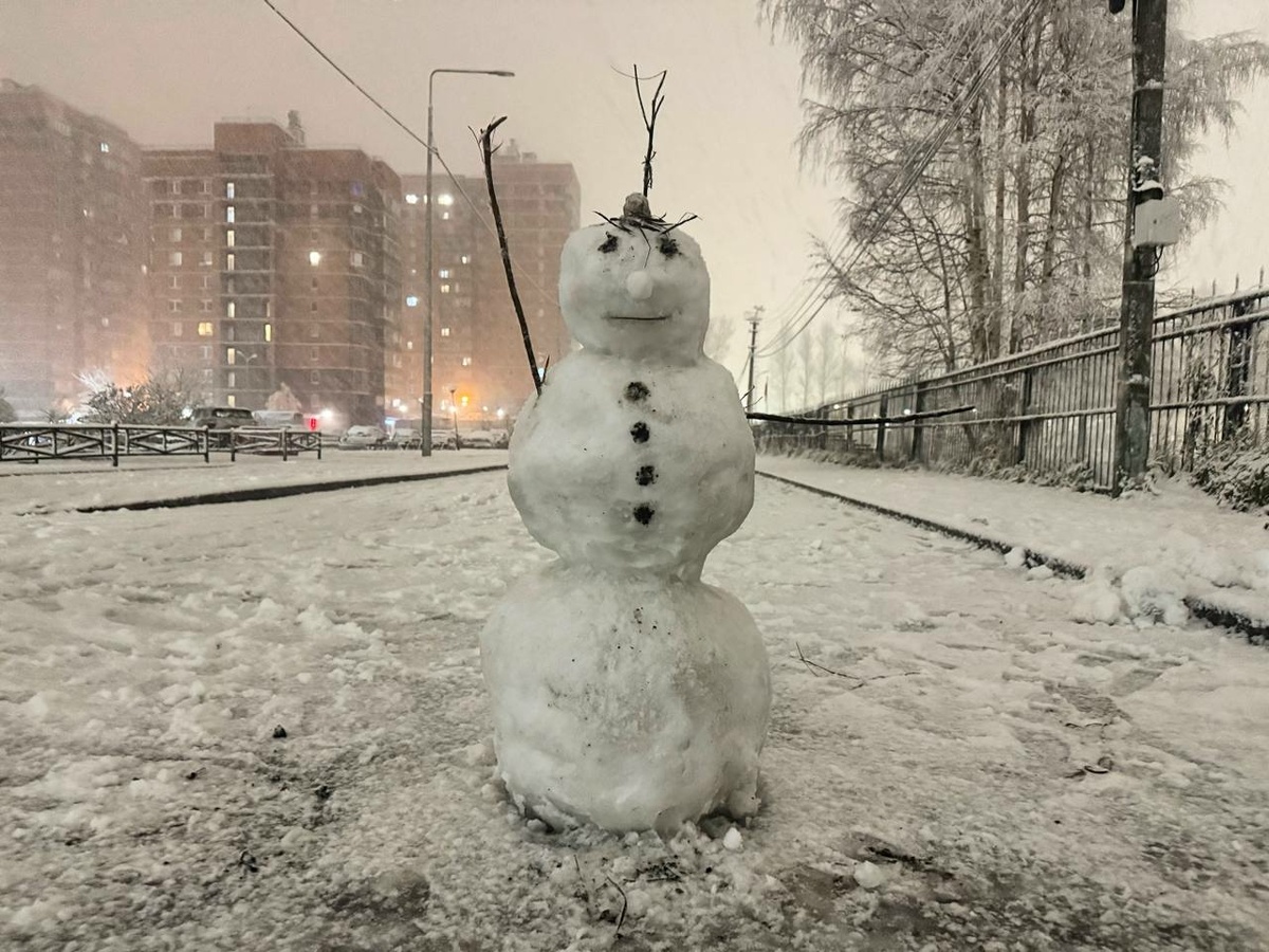 Фото: читатели Neva.Today