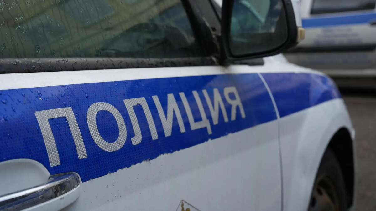    Фото: ИЗВЕСТИЯ/Дмитрий Коротаев