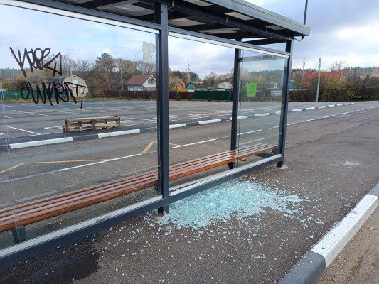 Фото: Егор Шухрат  📷
