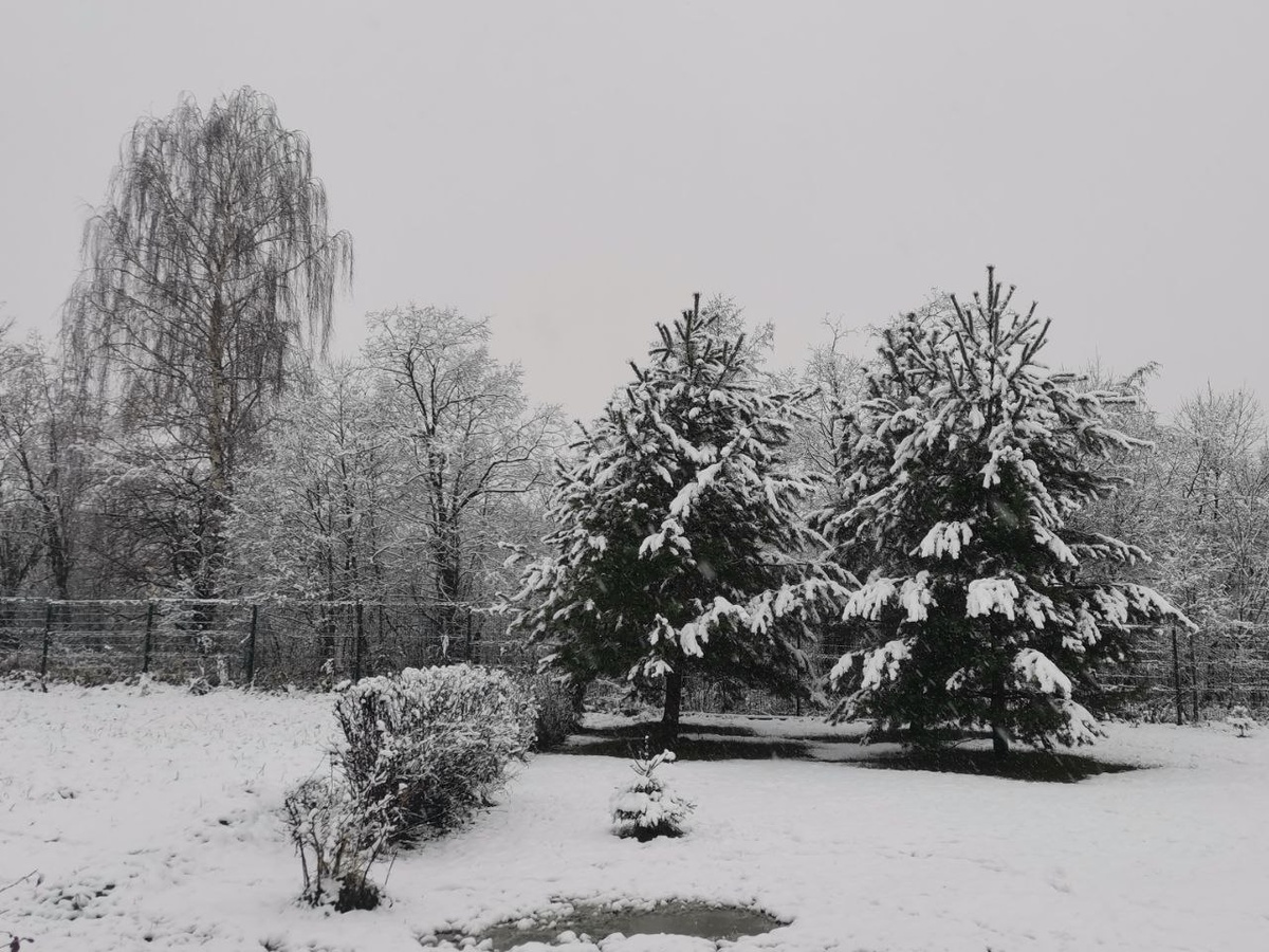 Сегодня утром москвичи проснулись зимой, хотя ещё только середина ноября