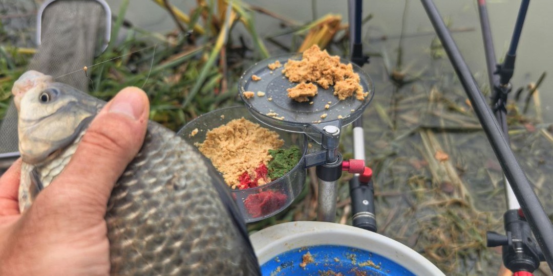 Что интересного в этом карасевом сезоне? Обзор новинок