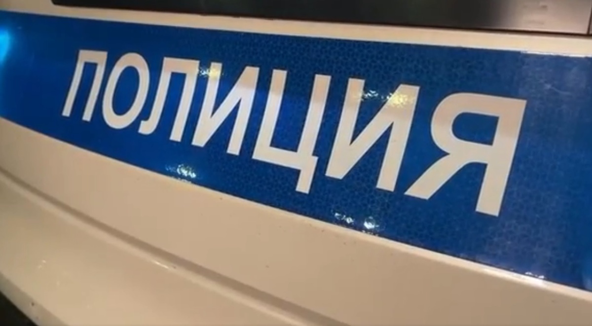 © ГУ МВД по Петербургу и Ленобласти