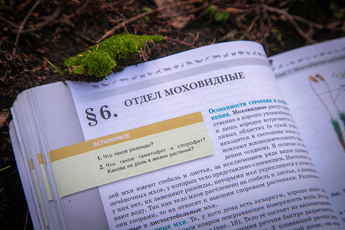 «Паспорт растения»: как помочь ребенку с проектом без лишнего стресса