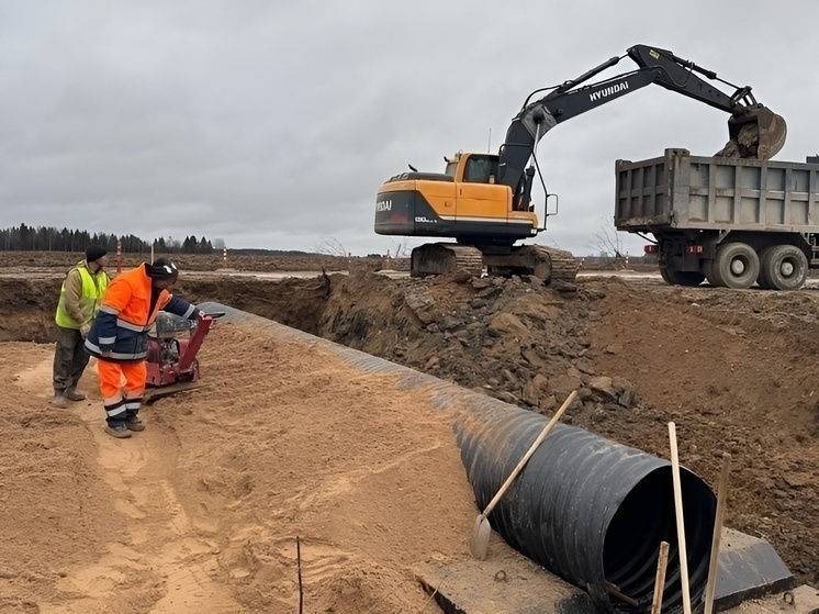     Фото: администрация Вельского муниципального района