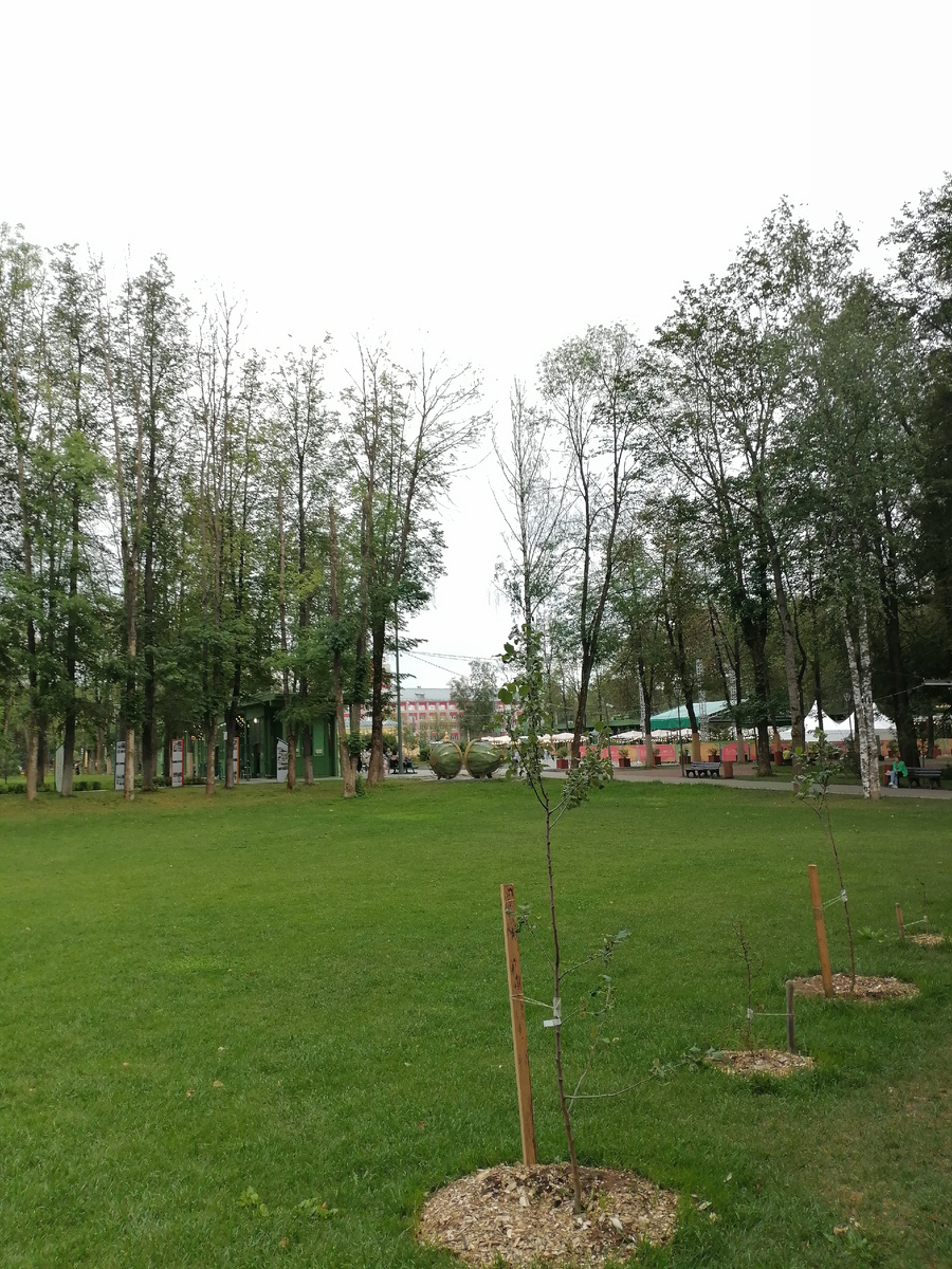 © Copyright: Максим Вячеславович Гуреев, фото 