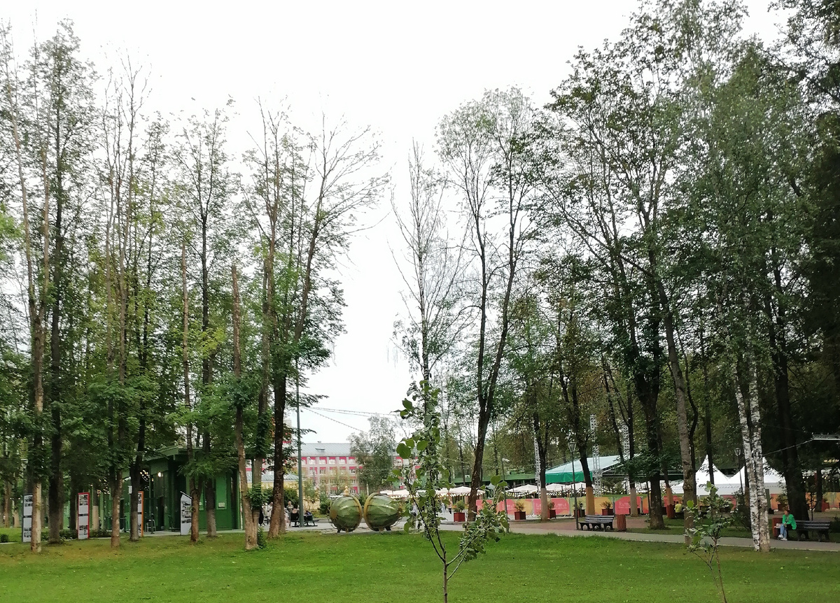 © Copyright: Максим Вячеславович Гуреев, фото 