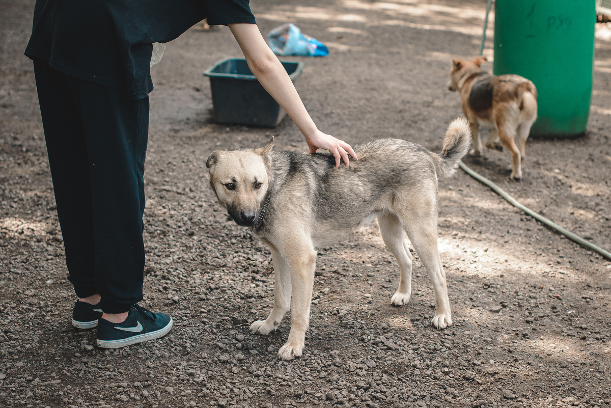 Мне пока страшно, что даже не знаю. Где лучше там или сейчас - здесь