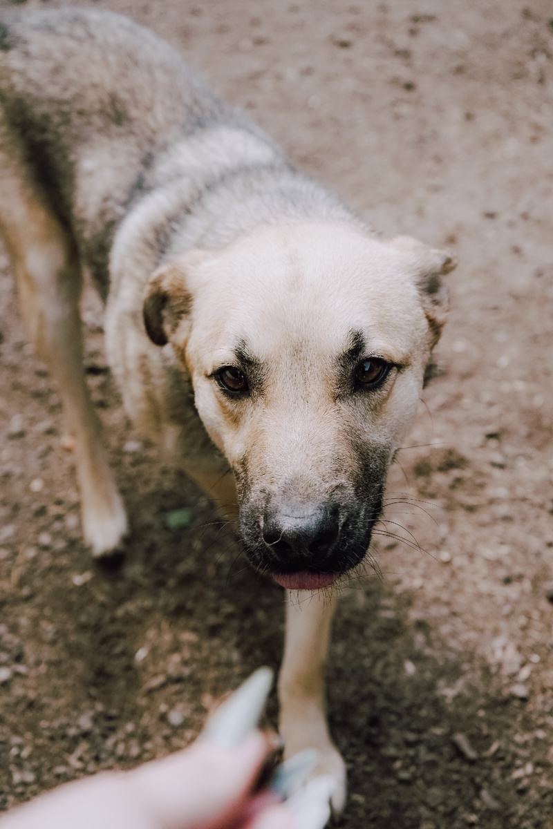 Мы все так хотели есть, что уши друг другу грызли...