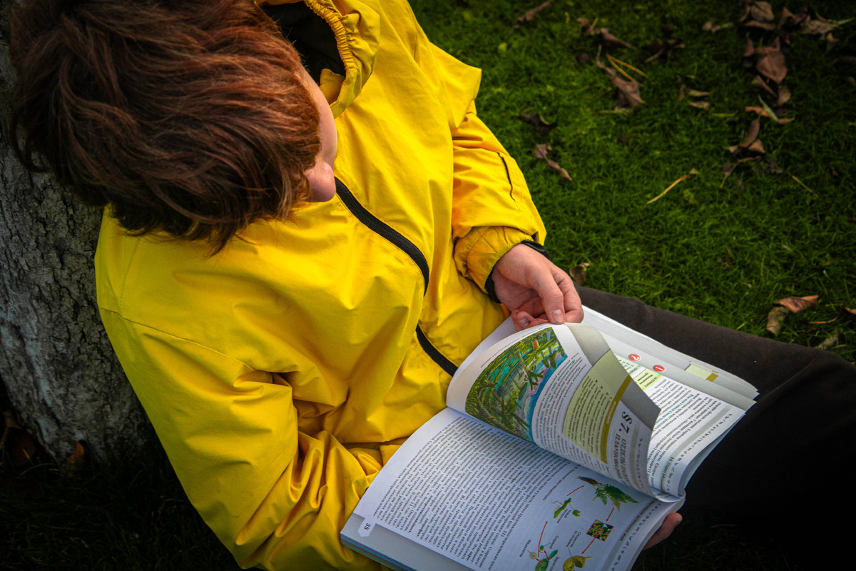 Секрет успешного школьного проекта: превращаем сложную тему в увлекательное расследование. 