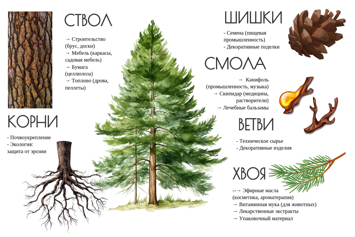 Инфографика: Паспорт полезности