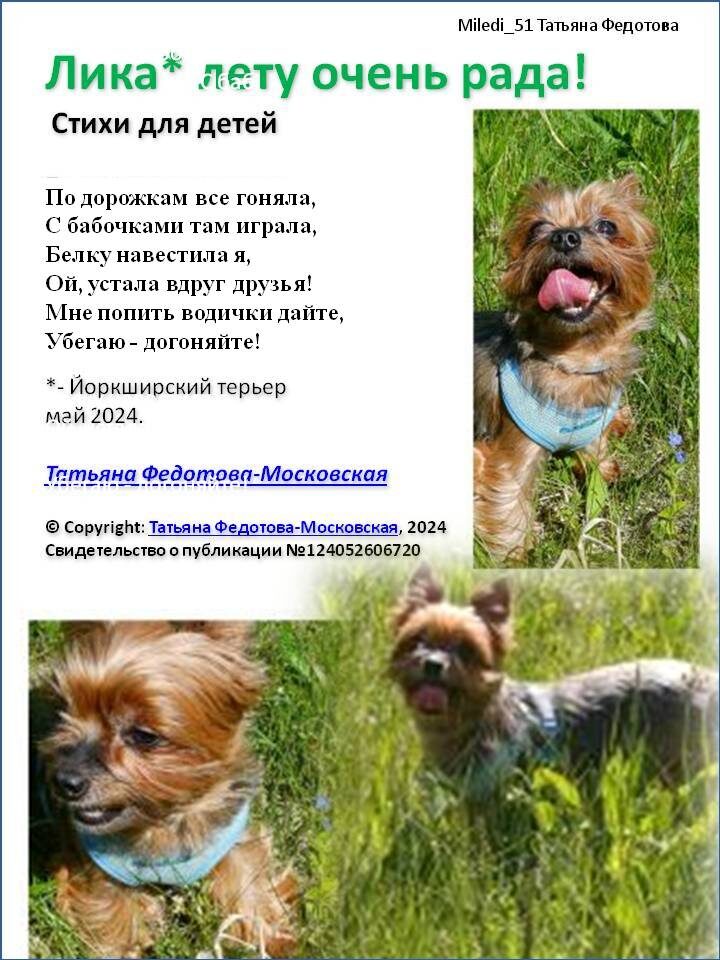 "Лика лету очень рада!". Стихи в открытках. Автор Татьяна Федотова