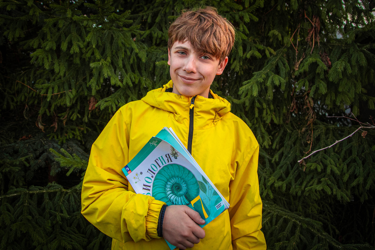 Две стратегии успеха: почему хвойные правят в магазине, а лиственные — в лесу