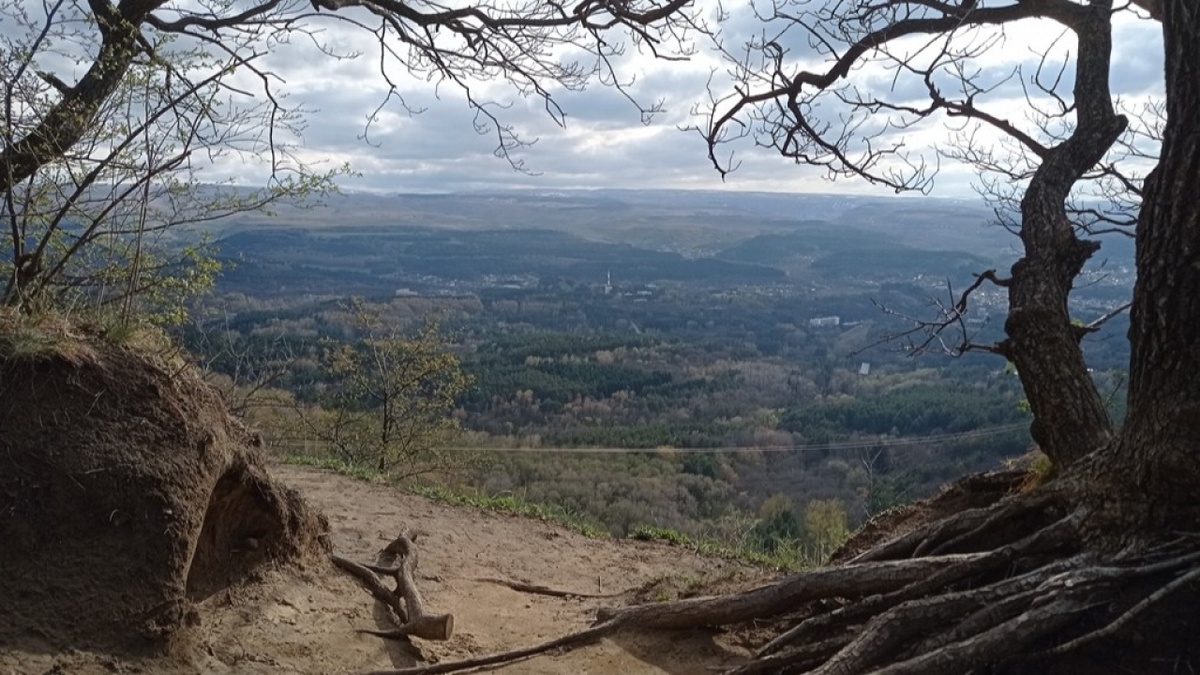    В Саратове Ботанический сад готовят к открытию в воскресеньеНовости Саратова и области – Сетевое издание «Репортер64»