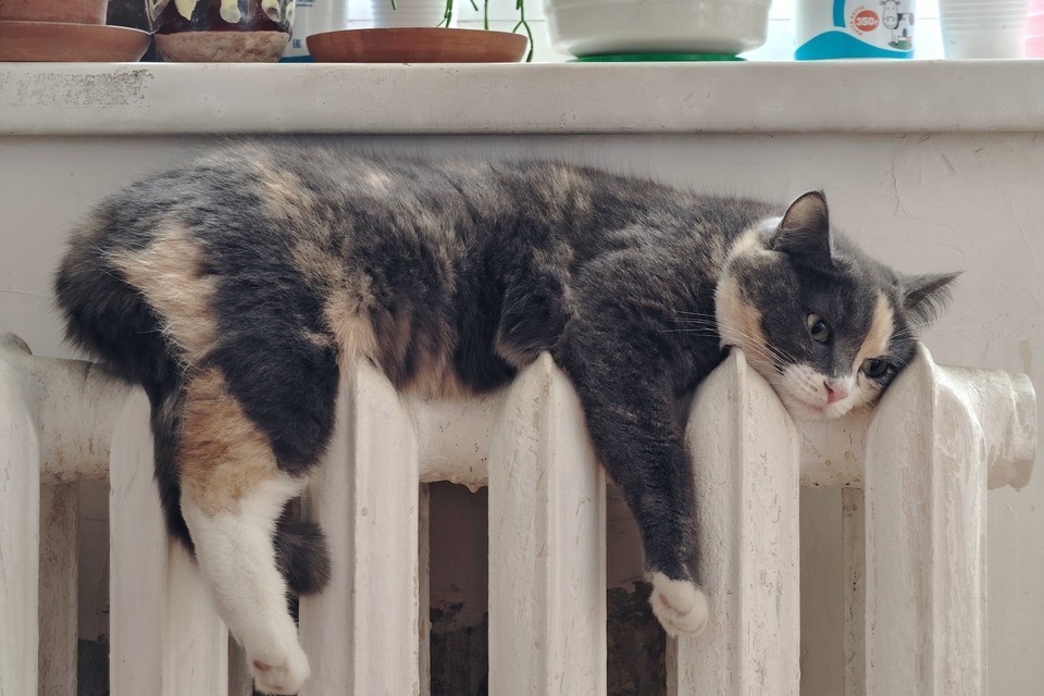    Большой ЖК остался без отопления почти на сутки. ПЫХАЛОВА Юлия (архив)