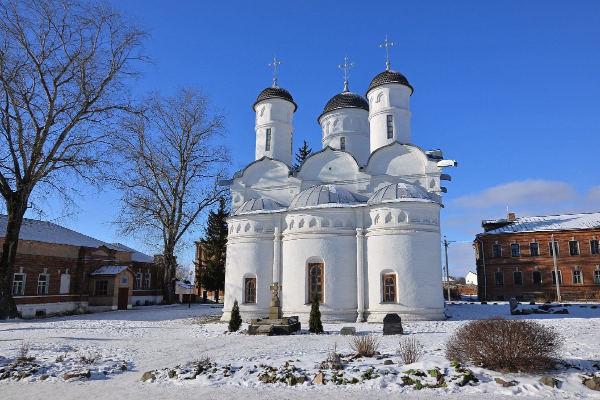    Фото: istockphoto/ olgalngs