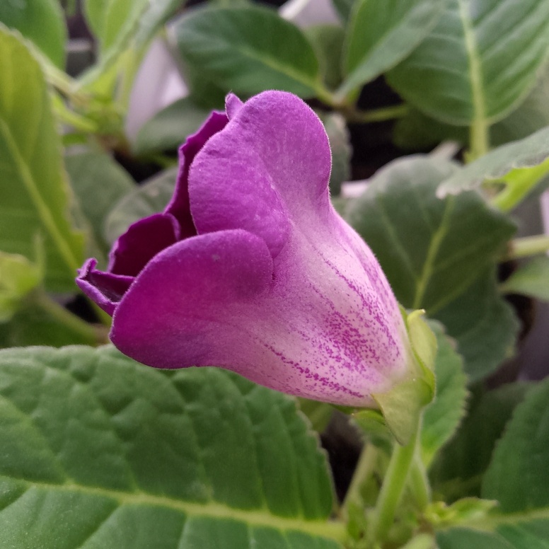 Придётся всё обрывать