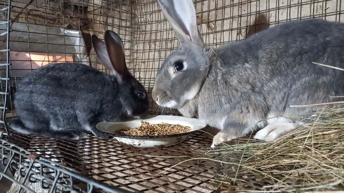 Кадры из видео 