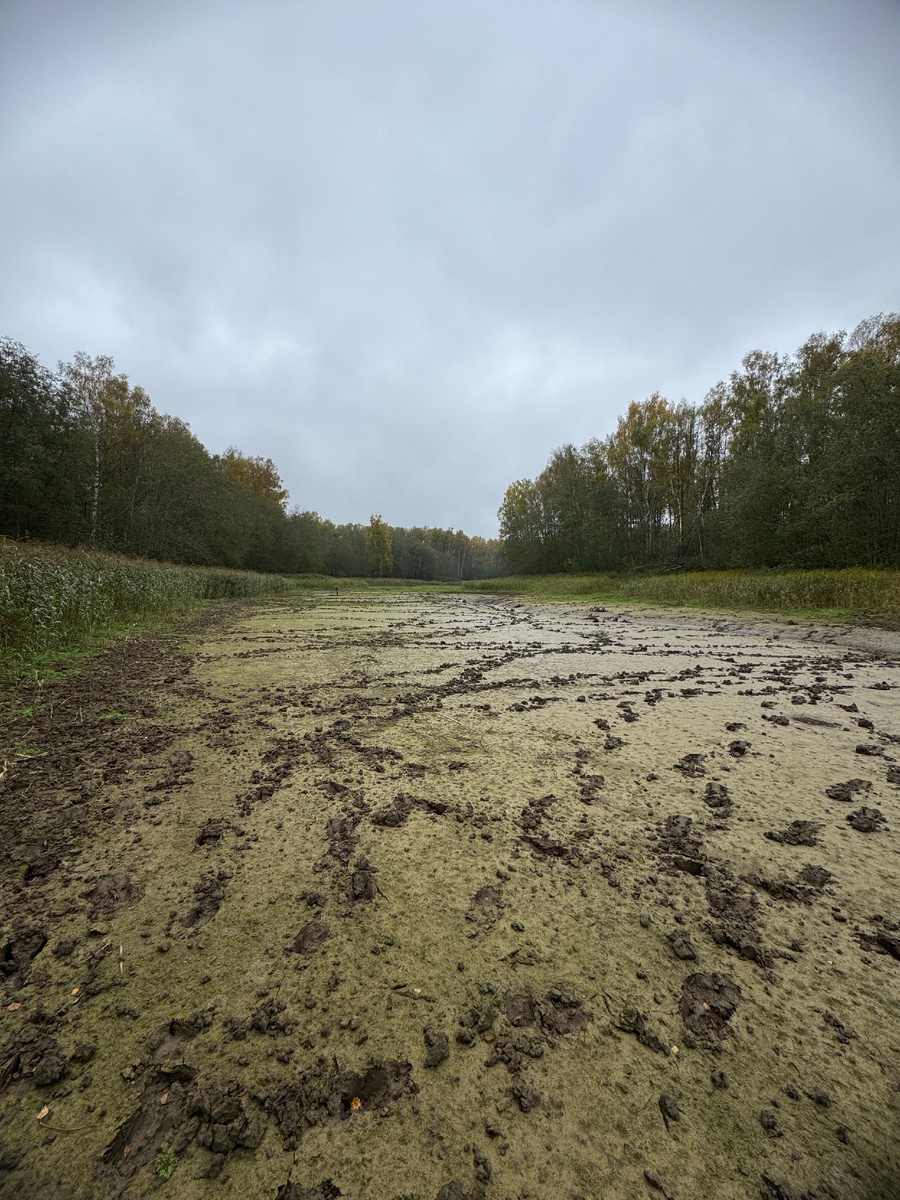 Некоторые протоки полностью пересыхают на время сброса воды.