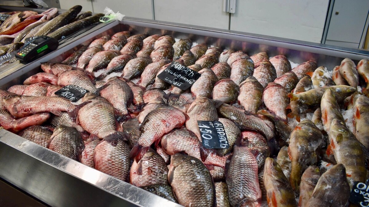     Источник: 1MI