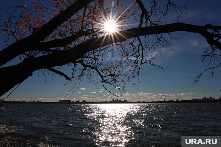     Прогноз от ученых на 16 ноября 2025